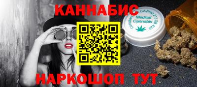 стаф Гай