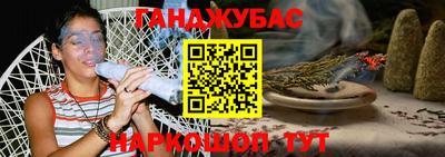 стаф Гай