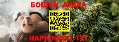 стаф Гай