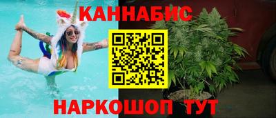 стаф Гай