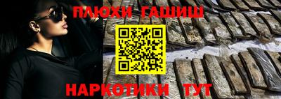 стаф Гай