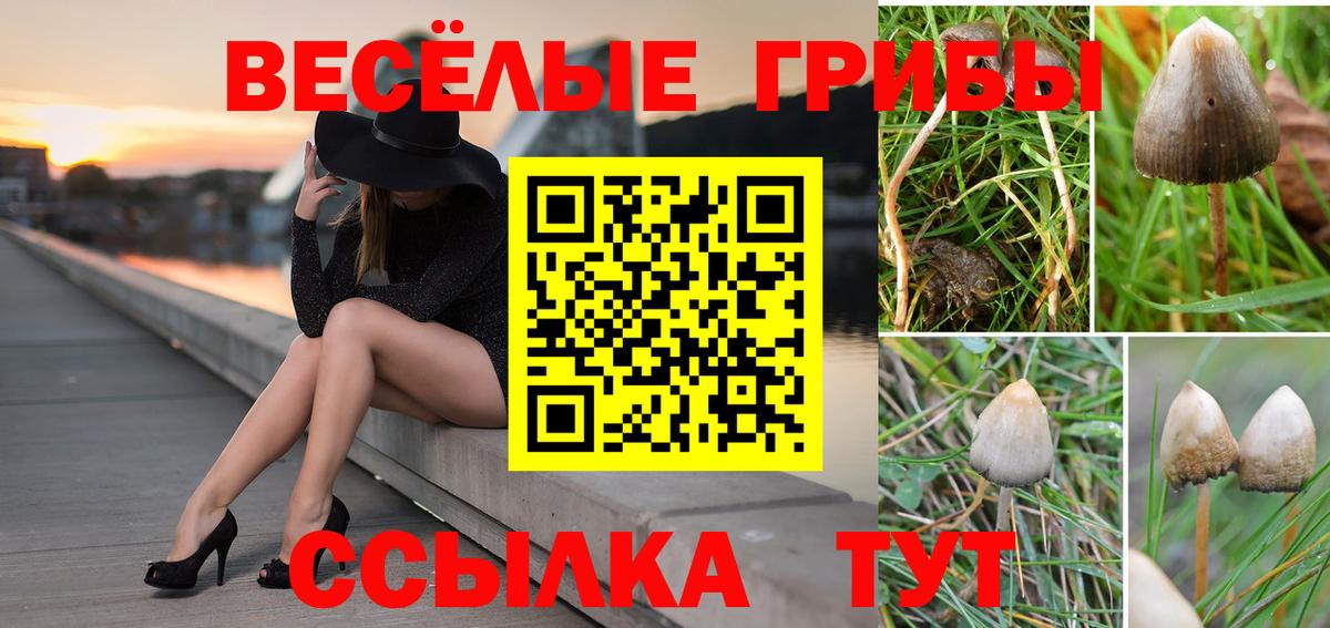 Белорецк  Псилоцибиновые грибы Psilocybine cubensis  Вход с VPN 
